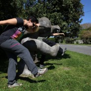 Christchurch, Nueva Zelanda