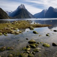 Te Anau y Milford Sound