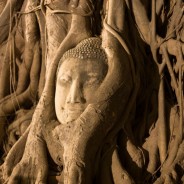 Bangkok y Ayutthaya