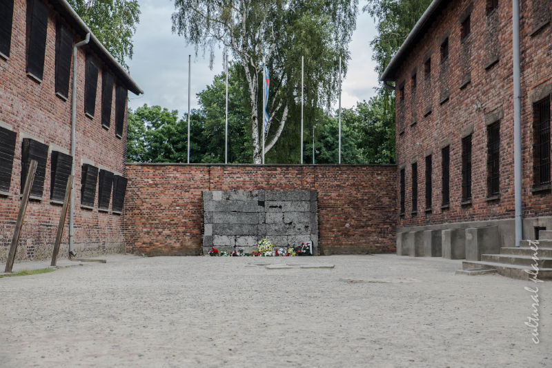 Auschwitz  Birkenau 